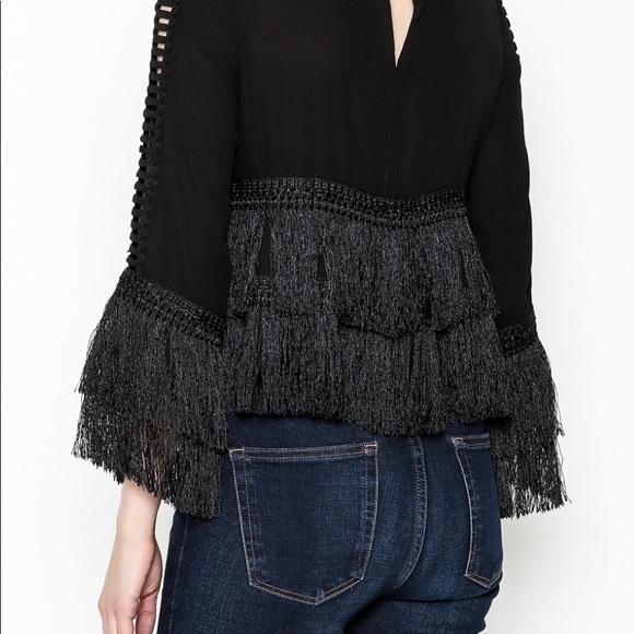 Fringe - Picture 4 of 4